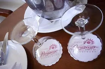 Golden Parnassus Adults Only Resort & Spa 칸쿤